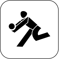 Volleyball