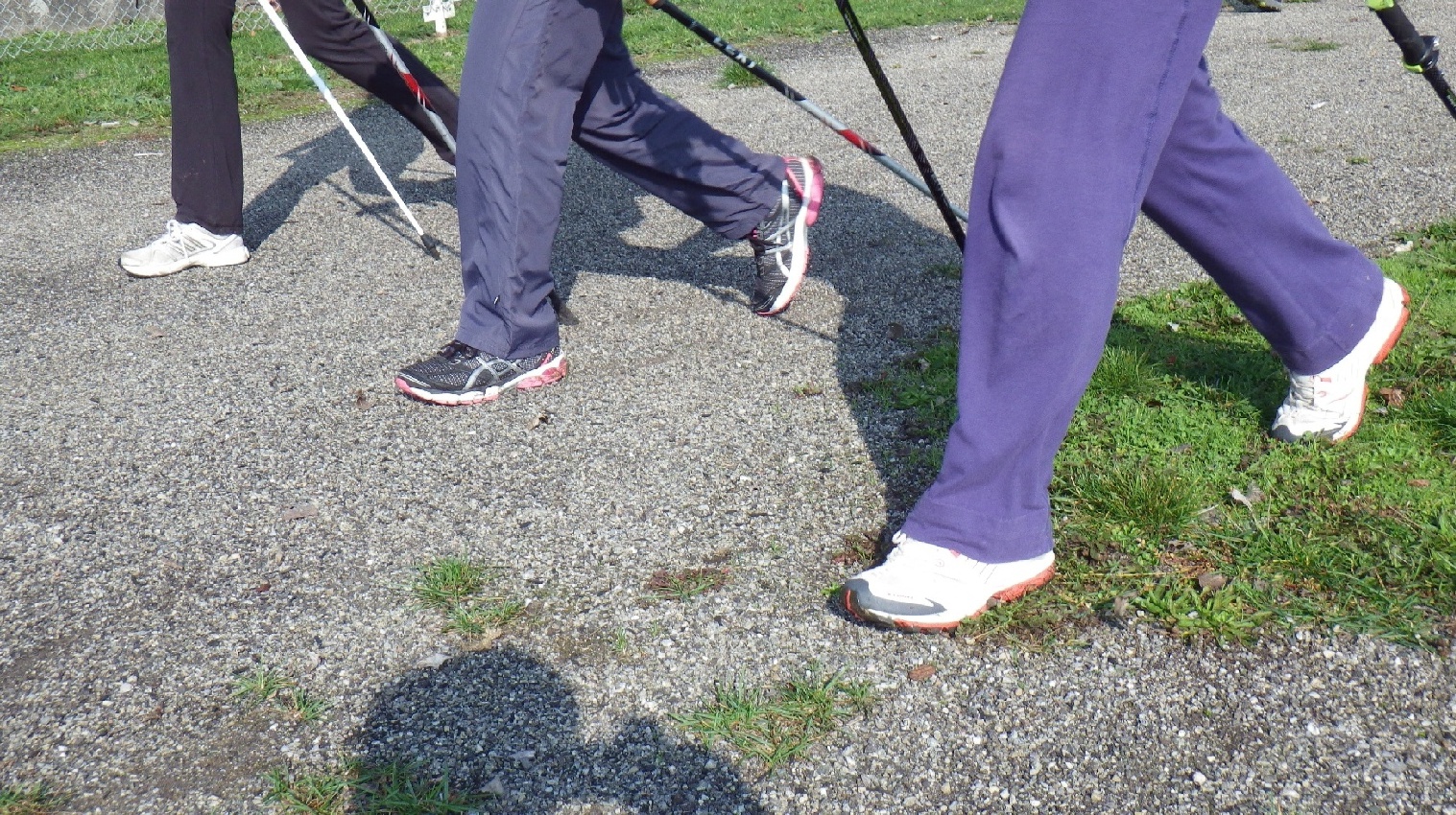 Nordic Walking 2